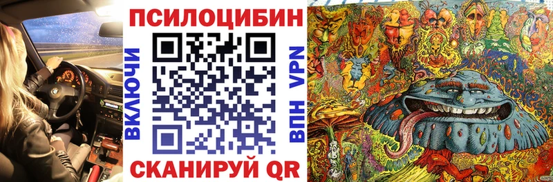 Галлюциногенные грибы Psilocybe  Купить  Бугуруслан 
